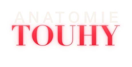 Anatomie touhy